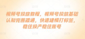 视频号投放教程，​视频号投放基础认知完善疏通，快速建模打标签，稳住投产稳住账号-沐风资源库