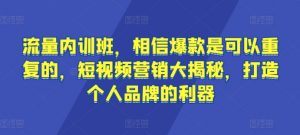 流量内训班，相信爆款是可以重复的，短视频营销大揭秘，打造个人品牌的利器-沐风资源库
