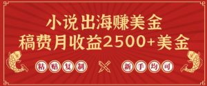 小说出海赚美金，稿费月收益2500+美金，仅需chatgpt粘贴复制，新手也能玩转【揭秘】-沐风资源库