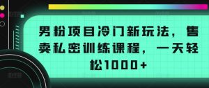 男粉项目冷门新玩法，售卖私密训练课程，一天轻松1000+【揭秘】-沐风资源库