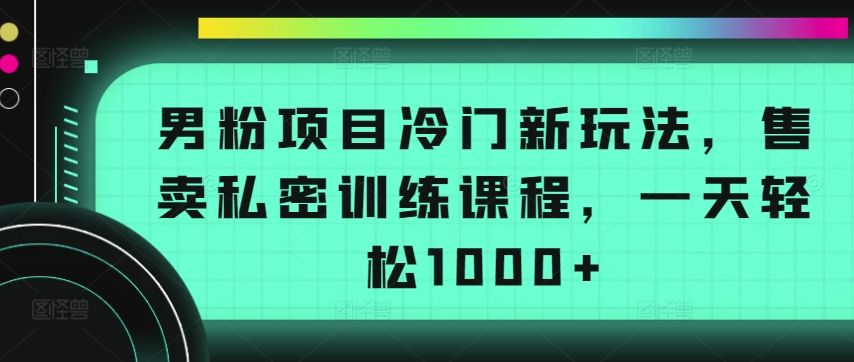 男粉项目冷门新玩法，售卖私密训练课程，一天轻松1000+【揭秘】-沐风资源库