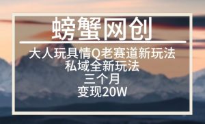 大人玩具情Q用品赛道私域全新玩法，三个月变现20W，老项目新思路【揭秘】-沐风资源库