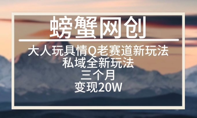 大人玩具情Q用品赛道私域全新玩法，三个月变现20W，老项目新思路【揭秘】-沐风资源库