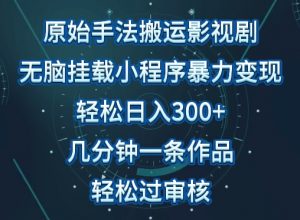 原始手法影视搬运,无脑搬运影视剧,单日收入300+,操作简单,几分钟生成一条视频,轻松过审核【揭秘】-沐风资源库