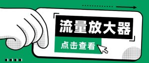 流量放大器，抖音公私域变现+soul私域轰炸器【揭秘】-沐风资源库