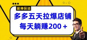 多多五天拉爆店铺，每天躺赚200+【揭秘】-沐风资源库