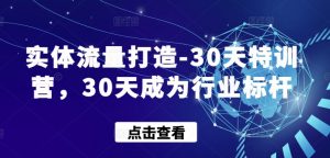 实体流量打造-30天特训营，30天成为行业标杆-沐风资源库