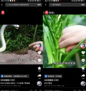 抖音卡章节搬运：短剧搬运术，百分百过抖，一比一搬运，只能安卓【揭秘】-沐风资源库