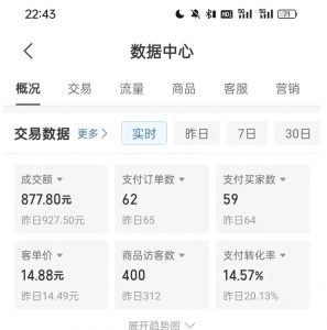 拼多多虚拟U盘电商红利项目：月赚2万+，新手小白也能玩-沐风资源库