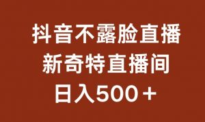 不露脸挂机直播，新奇特直播间，日入500+【揭秘】-沐风资源库