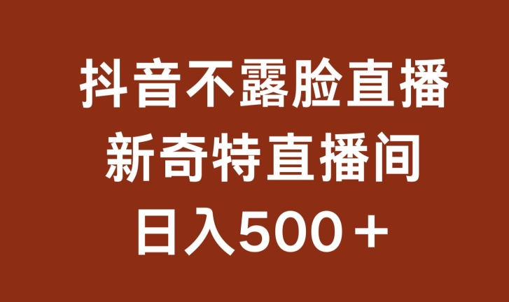 不露脸挂机直播，新奇特直播间，日入500+【揭秘】-沐风资源库