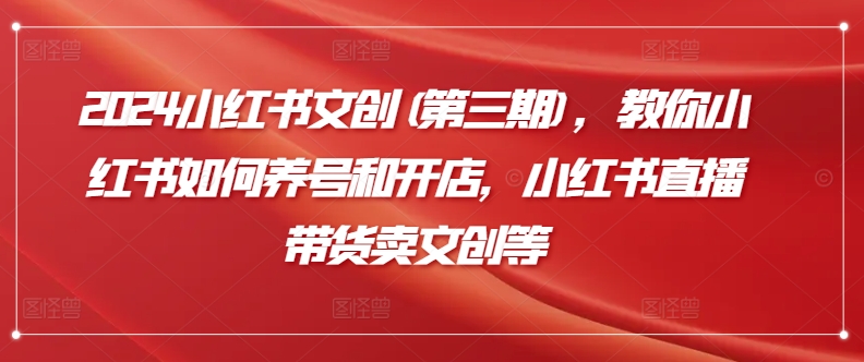2024小红书文创(第三期)，教你小红书如何养号和开店，小红书直播带货卖文创等-沐风资源库