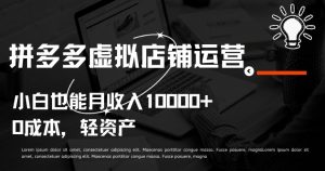 拼多多虚拟店铺运营小白也能月收入10000+【揭秘】-沐风资源库