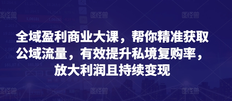 全域盈利商业大课，帮你精准获取公域流量，有效提升私境复购率，放大利润且持续变现-沐风资源库