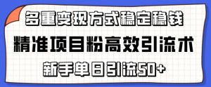 精准项目粉高效引流术，新手单日引流50+，多重变现方式稳定赚钱【揭秘】-沐风资源库
