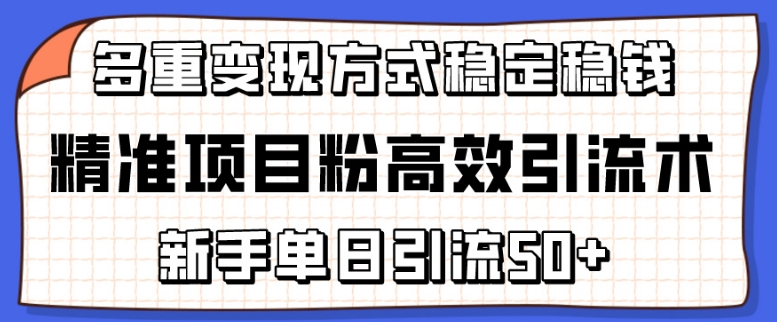 精准项目粉高效引流术，新手单日引流50+，多重变现方式稳定赚钱【揭秘】-沐风资源库