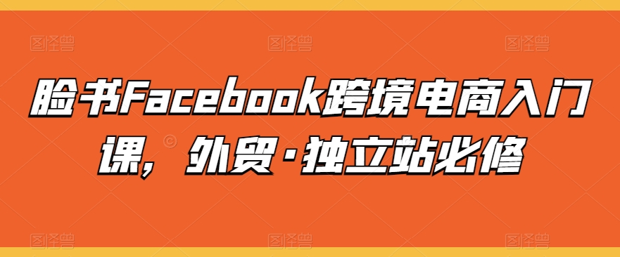 脸书Facebook跨境电商入门课，外贸·独立站必修-沐风资源库