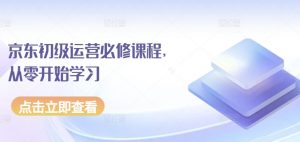 京东初级运营必修课程，从零开始学习-沐风资源库
