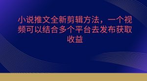 小说推文全新剪辑方法，一个视频可以结合多个平台去发布获取【揭秘】-沐风资源库