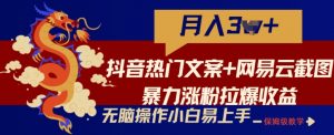 抖音热门文案+网易云截图暴力涨粉拉爆收益玩法，小白无脑操作，简单易上手【揭秘】-沐风资源库