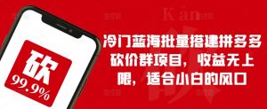 冷门蓝海批量搭建拼多多砍价群项目，收益无上限，适合小白的风口【揭秘】-沐风资源库