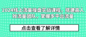2024线上流量操盘实战课程，搭建高人效流量团队，掌握多平台流量-沐风资源库