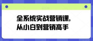 全系统实战营销课，从小白到营销高手-沐风资源库