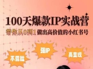 小红书100天爆款IP实战营，带你从0到1做出高价值的小红书号-沐风资源库