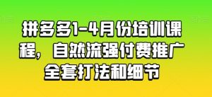 拼多多1-4月份培训课程，自然流强付费推广全套打法和细节-沐风资源库