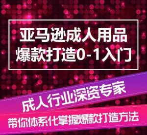亚马逊成人用品爆款打造0-1入门，系统化讲解亚马逊成人用品爆款打造的流程-沐风资源库