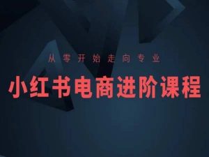 从零开始走向专业，小红书电商进阶课程-沐风资源库