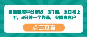 最新蓝海平台带货，0门槛，小白易上手，2分钟一个作品，收益高【揭秘】-沐风资源库