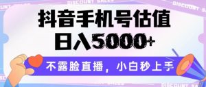 抖音手机号估值，日入5000+，不露脸直播，小白秒上手【揭秘】-沐风资源库