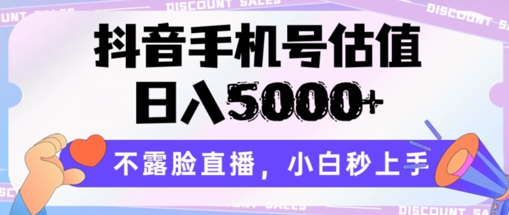 抖音手机号估值，日入5000+，不露脸直播，小白秒上手【揭秘】-沐风资源库