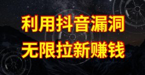 利用抖音链接漏洞，无限拉新赚钱【漏洞原理+操作流程】【揭秘】-沐风资源库