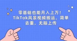 零基础也能月入上w，TikTok风景视频搬运，简单去重，无脑上传【揭秘】-沐风资源库