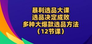暴利选品大课：选品决定成败，教你多种大爆款选品方法(12节课)-沐风资源库