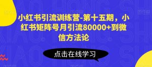 小红书引流训练营-第十五期，小红书矩阵号月引流80000+到微信方法论-沐风资源库