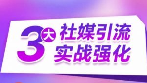 3大社媒引流实战强化，多渠道站外引流，高效精准获客，订单销售额翻倍增长-沐风资源库