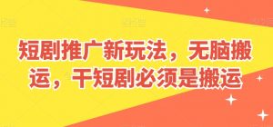 短剧推广新玩法，无脑搬运，干短剧必须是搬运【揭秘】-沐风资源库