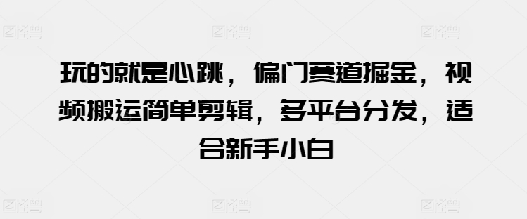 玩的就是心跳，偏门赛道掘金，视频搬运简单剪辑，多平台分发，适合新手小白【揭秘】-沐风资源库