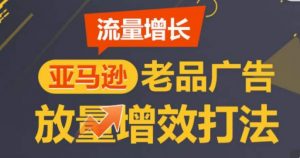 亚马逊流量增长-老品广告放量增效打法，循序渐进，打造更多TOP listing​-沐风资源库