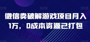 微信卖破解游戏项目月入1万，0成本资源已打包【揭秘】-沐风资源库