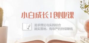 小白成长创业课：追求理论与实践结合，踏实落地，有尊严的持续赚钱-42节-沐风资源库