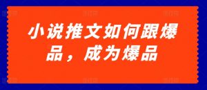 小说推文如何跟爆品，成为爆品【揭秘】-沐风资源库