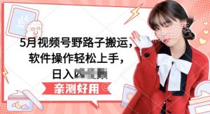 5月视频号野路子搬运，软件操作轻松上手，日入三位数【揭秘】-沐风资源库
