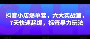 抖音小店爆单营，六大实战篇，7天快速起爆，标签暴力玩法-沐风资源库
