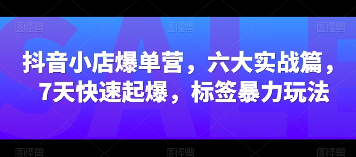 抖音小店爆单营，六大实战篇，7天快速起爆，标签暴力玩法-沐风资源库