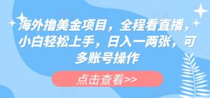 海外撸美金项目，全程看直播，小白轻松上手，日入一两张，可多账号操作【揭秘】-沐风资源库