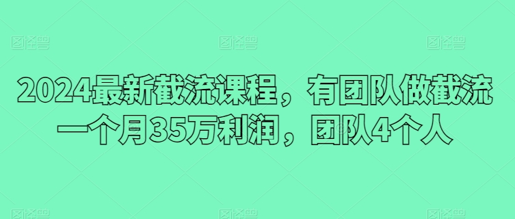 2024最新截流课程，有团队做截流一个月35万利润，团队4个人-沐风资源库